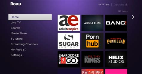 how to stream porn on roku|Private Channels Are Gone but You Can Still Watch Porn on。